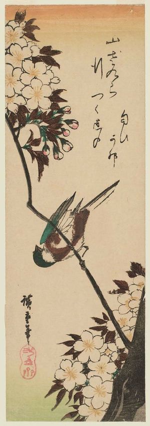 Utagawa Hiroshige: Bird and Wild Cherry - Museum of Fine Arts