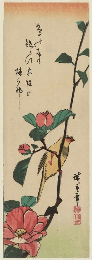 Utagawa Hiroshige: Canary on Camellia Branch - Museum of Fine Arts