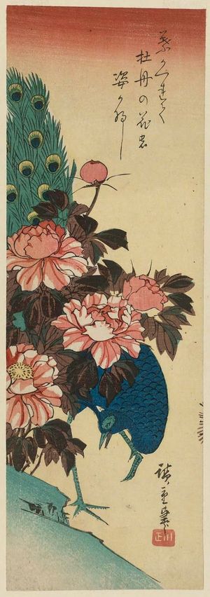 日本版画 "Peacock and Peonies" 由 Utagawa Hiroshige, 歌川広重 (Utagawa Hiroshige I) 创作