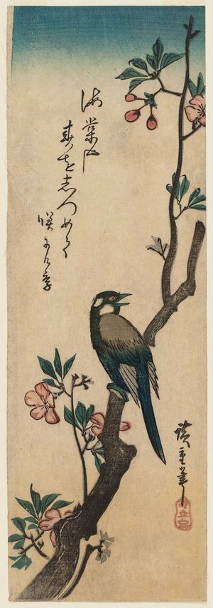 Utagawa Hiroshige: White-cheeked Bird on Aronia Branch - Museum of Fine Arts