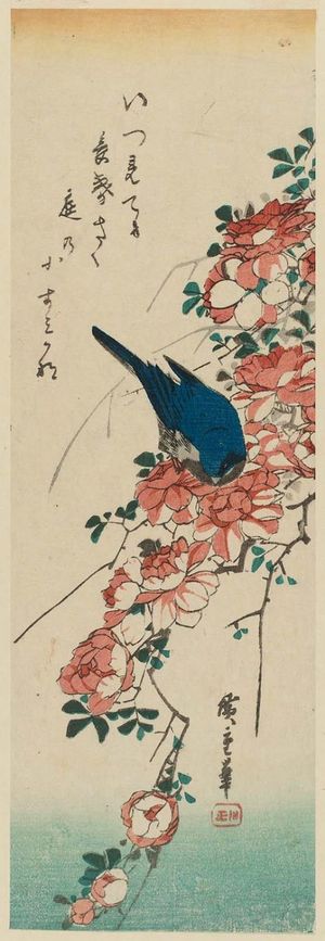 歌川広重: Blue Bird and Roses - ボストン美術館
