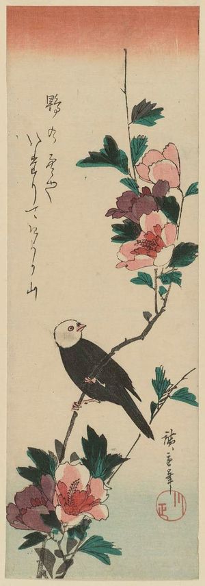 Utagawa Hiroshige: White-headed Bird and Hibiscus - Museum of Fine Arts