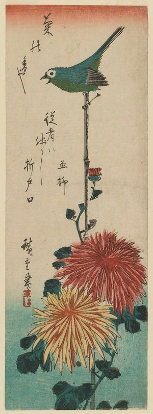歌川広重: Chrysanthemums and Japanese White-eye - ボストン美術館
