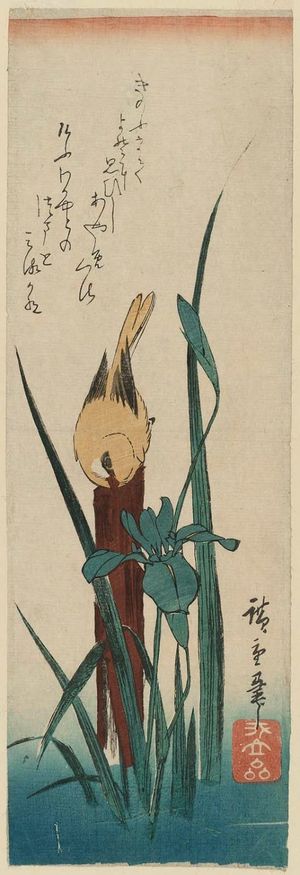 Utagawa Hiroshige: Yellow Bird and Iris - Museum of Fine Arts