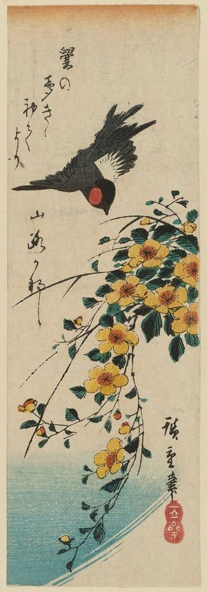 Utagawa Hiroshige: Yamabuki and Bullfinch - Museum of Fine Arts