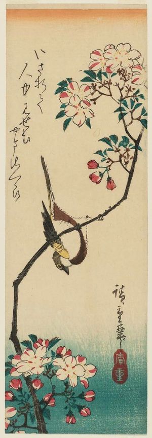 Utagawa Hiroshige: Bird on Cherry Branch - Museum of Fine Arts