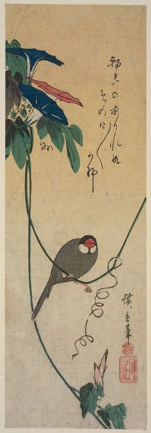 Utagawa Hiroshige: Morning Glories and Finch - Museum of Fine Arts