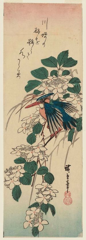 歌川広重: Kingfisher and Viburnum - ボストン美術館