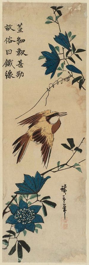 Utagawa Hiroshige: Oriole and Clematis - Museum of Fine Arts