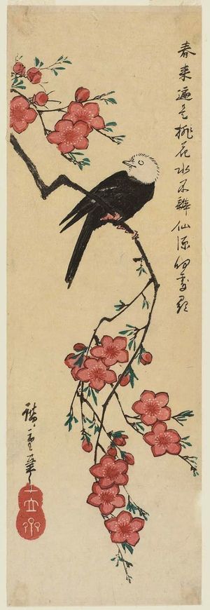 Utagawa Hiroshige: White-headed Bird and Peach Blossoms - Museum of Fine Arts