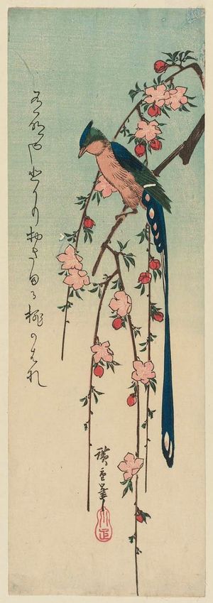 Utagawa Hiroshige: Long-tailed Bird on Blossoming Peach - Museum of Fine Arts