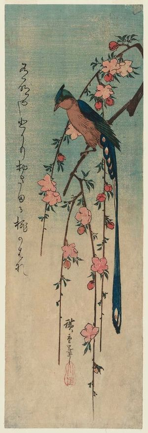 Utagawa Hiroshige: Long-tailed Bird on Blossoming Peach - Museum of Fine Arts