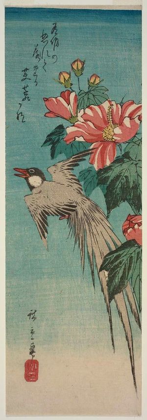 Utagawa Hiroshige: Long-tailed Bird and Hibiscus - Museum of Fine Arts