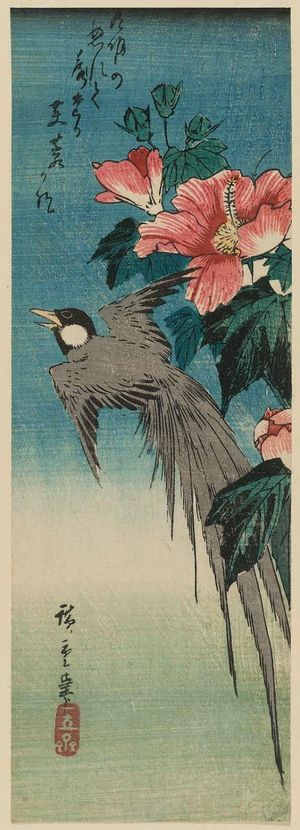 Utagawa Hiroshige: Long-tailed Bird and Hibiscus - Museum of Fine Arts