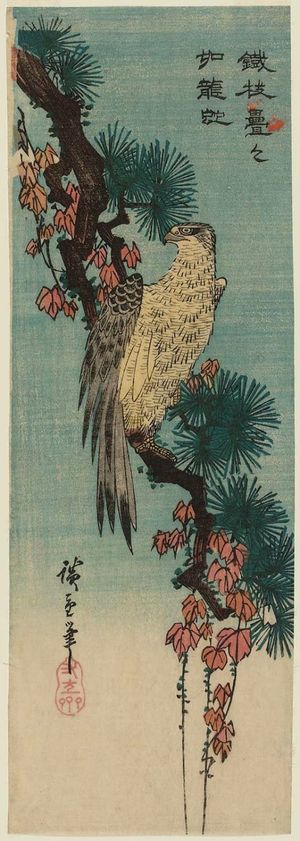 Utagawa Hiroshige: Falcon on an Ivy-draped Pine Branch - Museum of Fine Arts