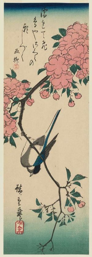 Utagawa Hiroshige: Bird and Double Cherry - Museum of Fine Arts