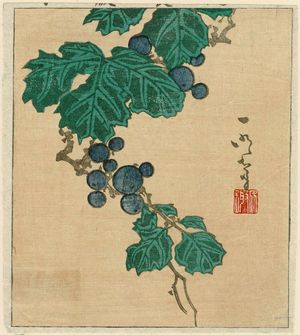 Ichimei: Grapes - Museum of Fine Arts