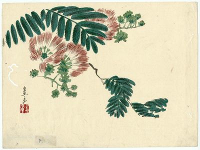 Harada Keigaku: Mimosa Branch - Museum of Fine Arts