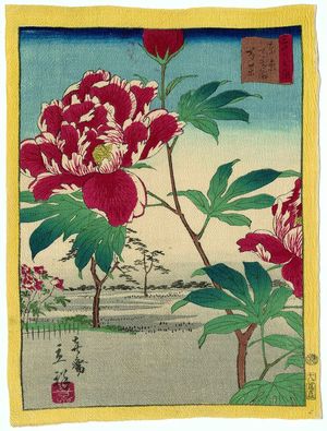 二歌川広重: Peonies at Hundred Flower Garden in Tokyo (Tôkyô Hyakkaen shakuyaku), from the series Thirty-six Selected Flowers (Sanjûrokkasen) - ボストン美術館