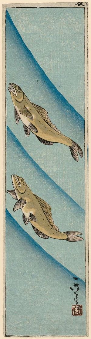 Ichimei: Trout Swimming in River - Museum of Fine Arts