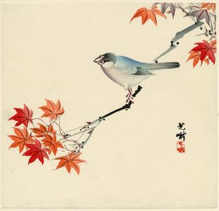 Iijima Koga: Finch on Maple Branch - Museum of Fine Arts