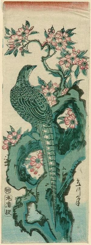 Rissen: Copper Pheasant on a Rock, with Cherry Blossoms - Museum of Fine Arts