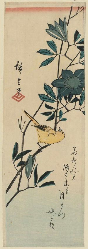 Utagawa Hiroshige: Canary and Passion Vine - Museum of Fine Arts