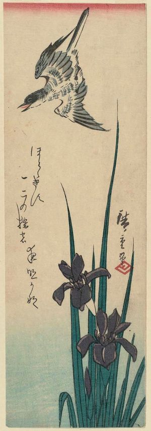 日本版画 "Cuckoo and Iris" 由 Utagawa Hiroshige, 歌川広重 (Utagawa Hiroshige I) 创作