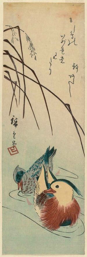 Utagawa Hiroshige: Mandarin Ducks and Reeds - Museum of Fine Arts