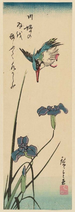 Utagawa Hiroshige: Kingfisher and Iris - Museum of Fine Arts