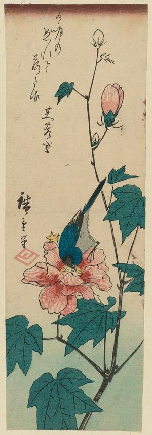 Utagawa Hiroshige: Bluebird and Hibiscus - Museum of Fine Arts