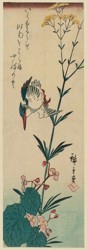歌川広重: Kingfisher and Begonia - ボストン美術館