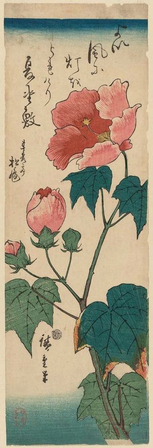 Utagawa Hiroshige: Hibiscus - Museum of Fine Arts