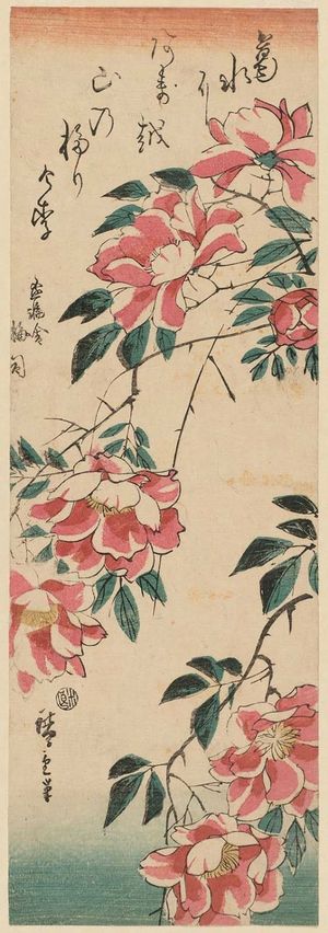 Utagawa Hiroshige: Wild Roses - Museum of Fine Arts