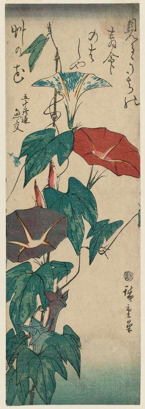 Utagawa Hiroshige: Morning Glories - Museum of Fine Arts