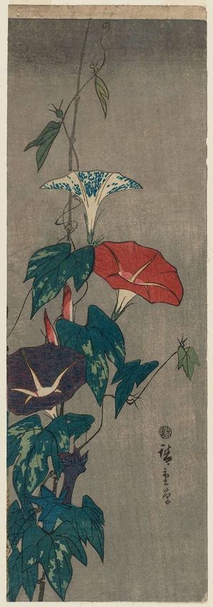 Utagawa Hiroshige: Morning Glories - Museum of Fine Arts