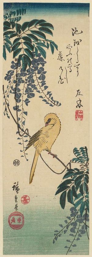 Utagawa Hiroshige: Canary and Wisteria - Museum of Fine Arts