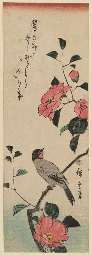 Utagawa Hiroshige: Camellia and Bulfinch - Museum of Fine Arts