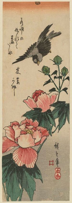 Utagawa Hiroshige: Bird and Hibiscus - Museum of Fine Arts