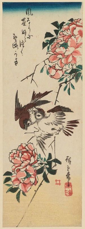 歌川広重: Sparrows and Wild Roses - ボストン美術館