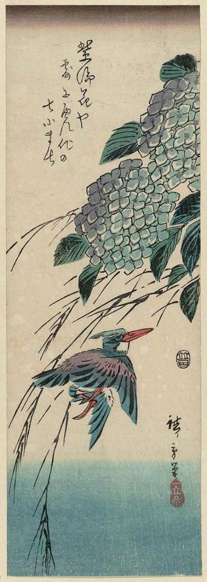 歌川広重: Kingfisher and Hydrangea - ボストン美術館
