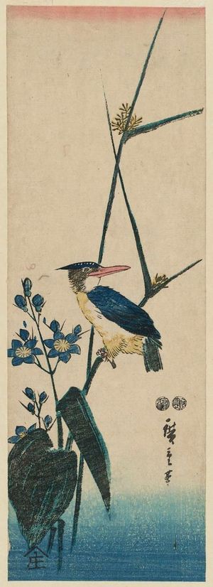歌川広重: Kingfisher and Mizu-aoi - ボストン美術館