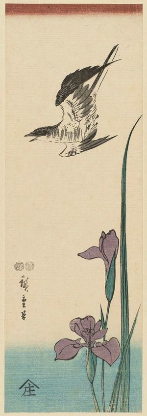 Utagawa Hiroshige: Cuckoo and Iris - Museum of Fine Arts