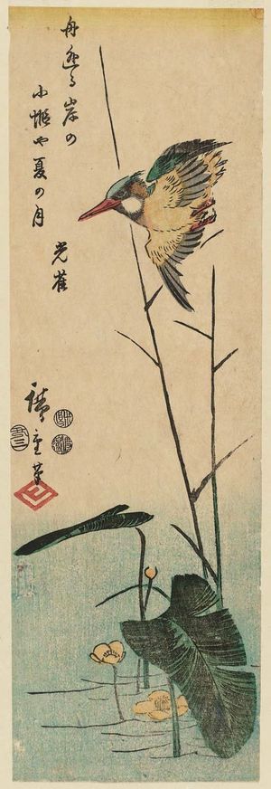 歌川広重: Kingfisher and Reeds - ボストン美術館