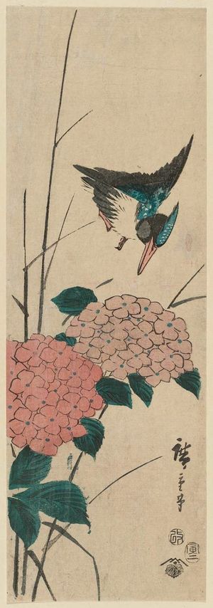 日本版画 "Kingfisher and Hydrangea" 由 Utagawa Hiroshige, 歌川広重 (Utagawa Hiroshige I) 创作