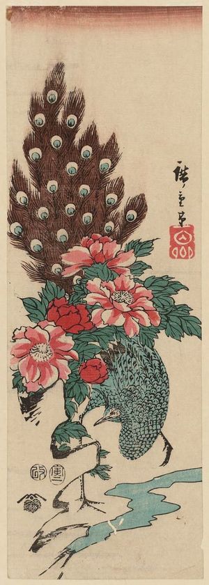 日本版画 "Peacock and Peonies" 由 Utagawa Hiroshige, 歌川広重 (Utagawa Hiroshige I) 创作