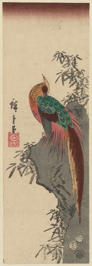 歌川広重: Golden Pheasant on Rock - ボストン美術館