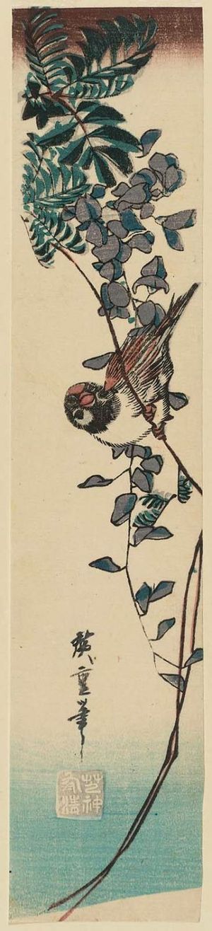 Utagawa Hiroshige: Sparrow and Wisteria - Museum of Fine Arts