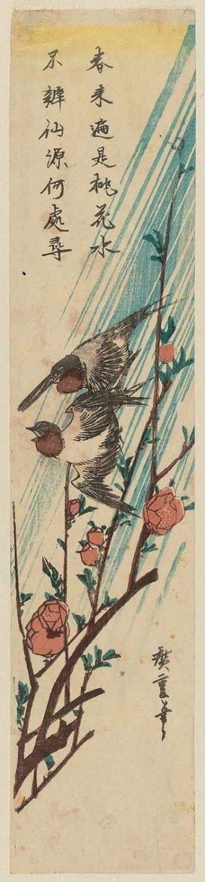 Utagawa Hiroshige: Swallows and Peach Blossoms in Rain - Museum of Fine Arts