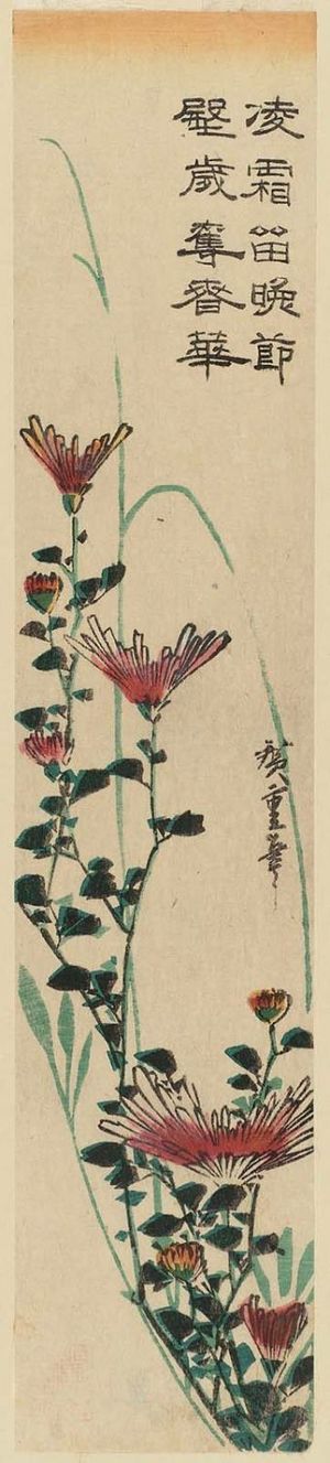 Utagawa Hiroshige: Wild Chrysanthemums - Museum of Fine Arts